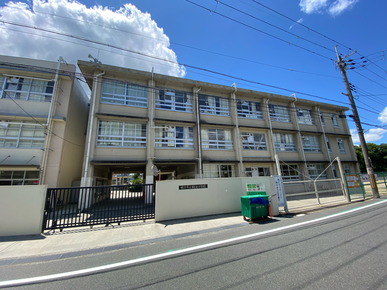 桜丘小学校