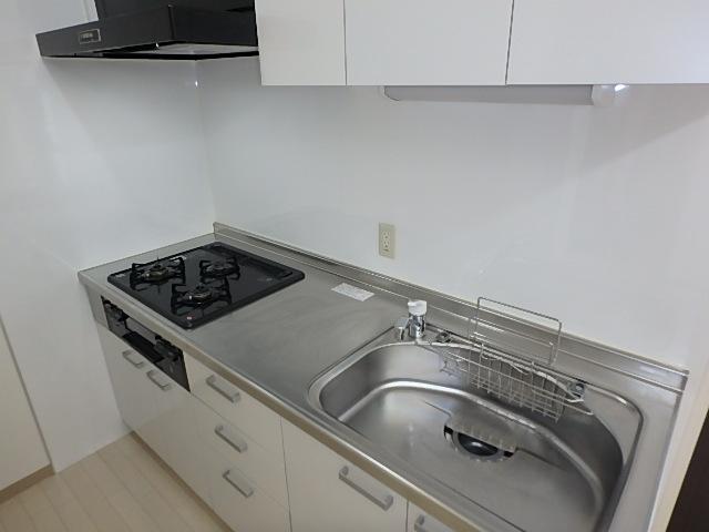 P8260006 (NXPowerLite Copy)